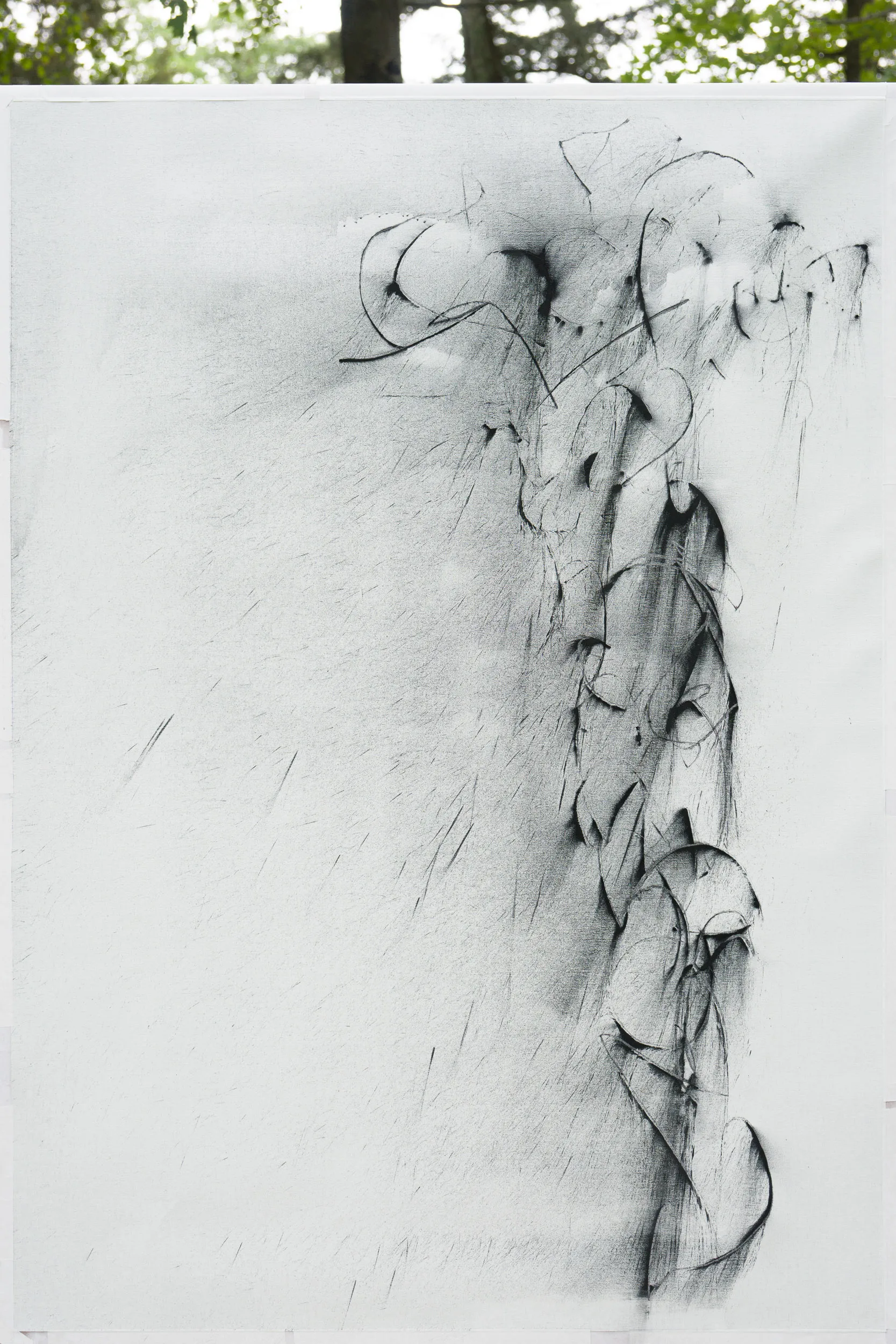 06 Son7Rm5 01 3989 2500p