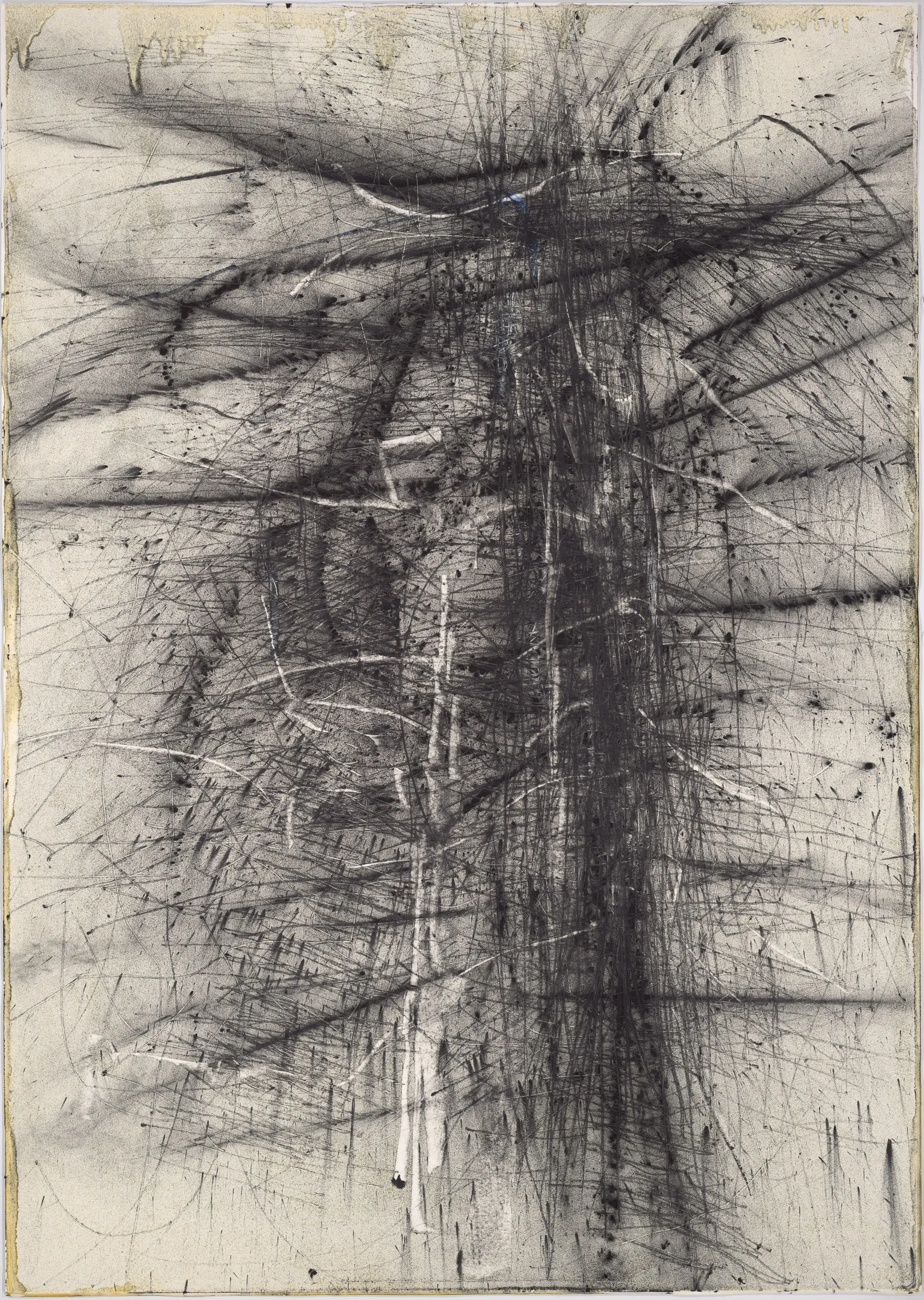 44 IQ3100T 006287 2500p