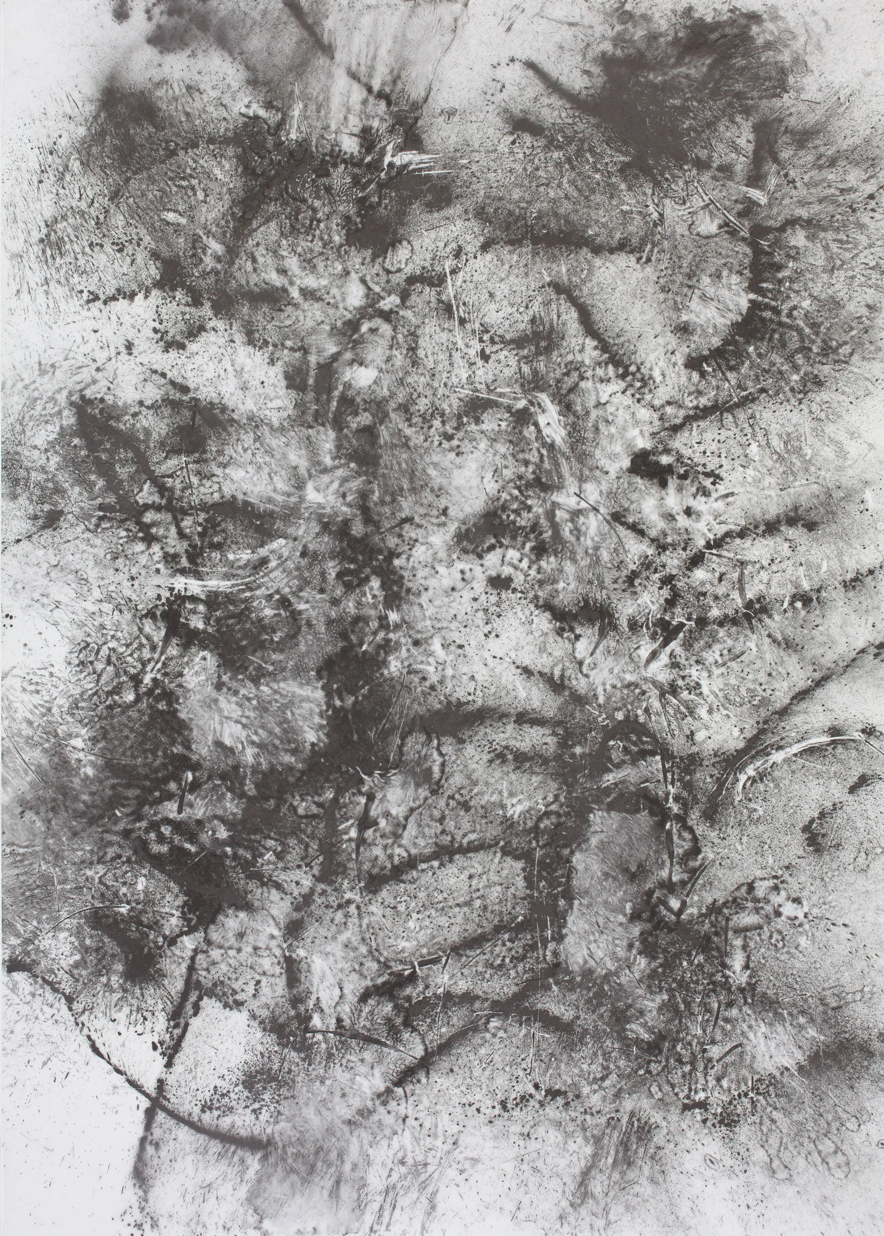 55 Can052 02 6390 2500p