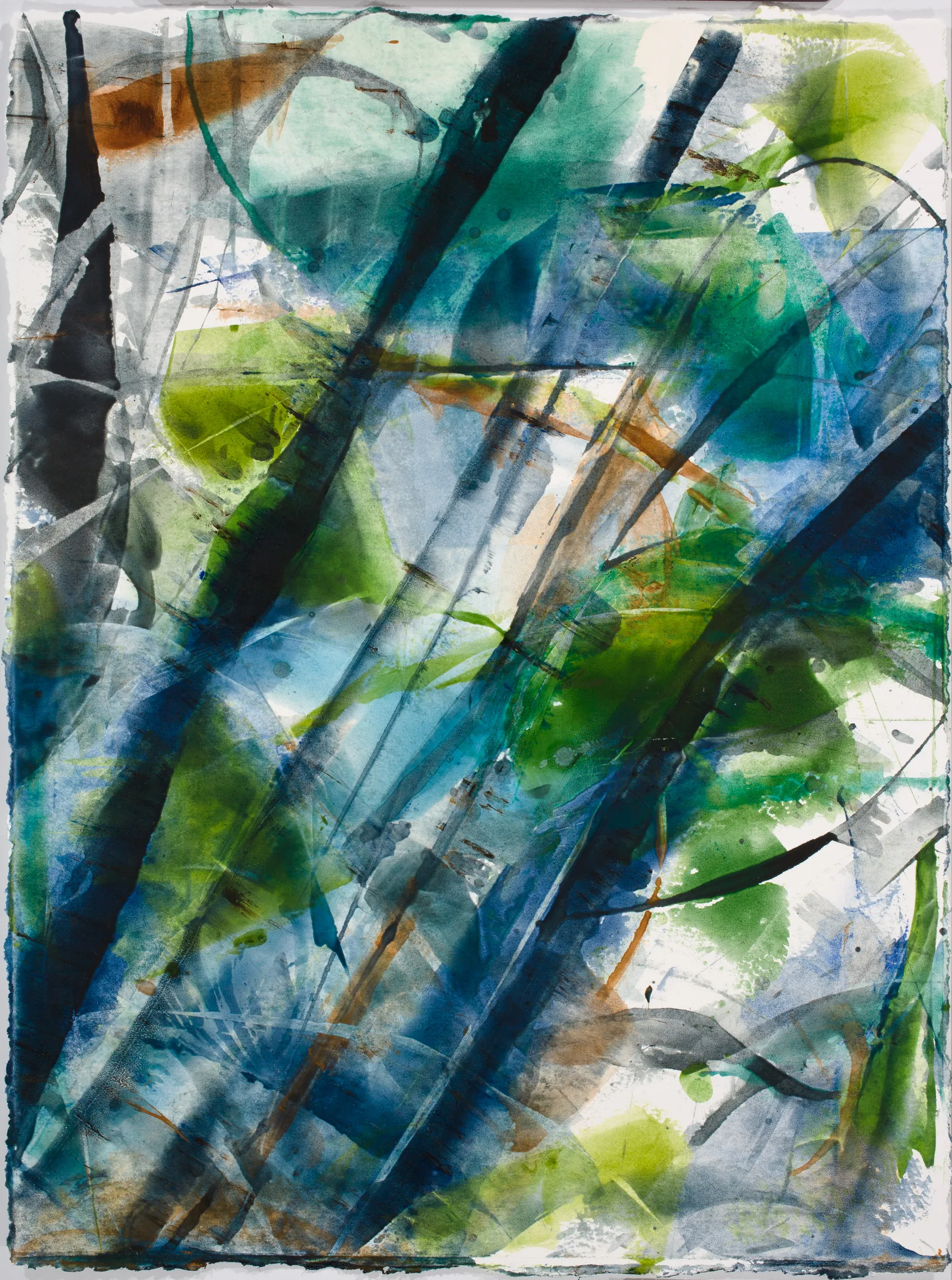 59 Can05D 04 4017 2500p